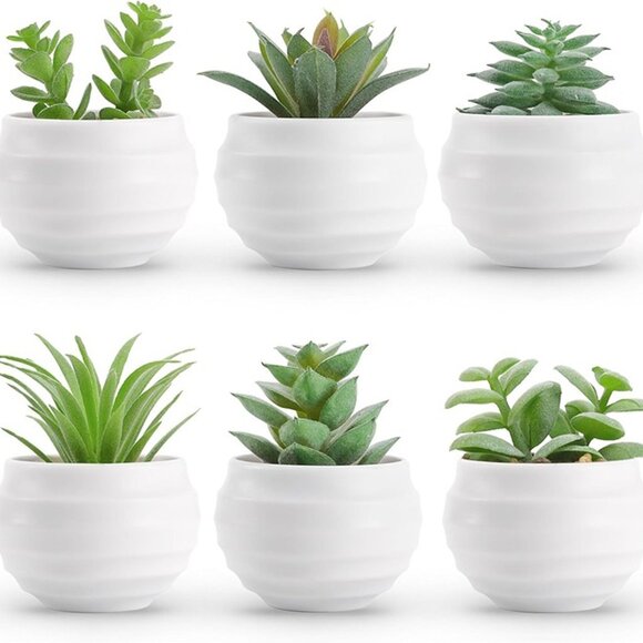 NEW Set of 6 Succulents Plants Artificial in Pots Small Fake Plants. - Picture 3 of 9